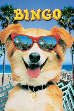 poster of movie Bingo