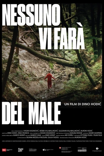 Poster de No One Will Hurt You