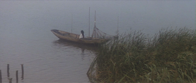 Imagen de Newlywed Hell