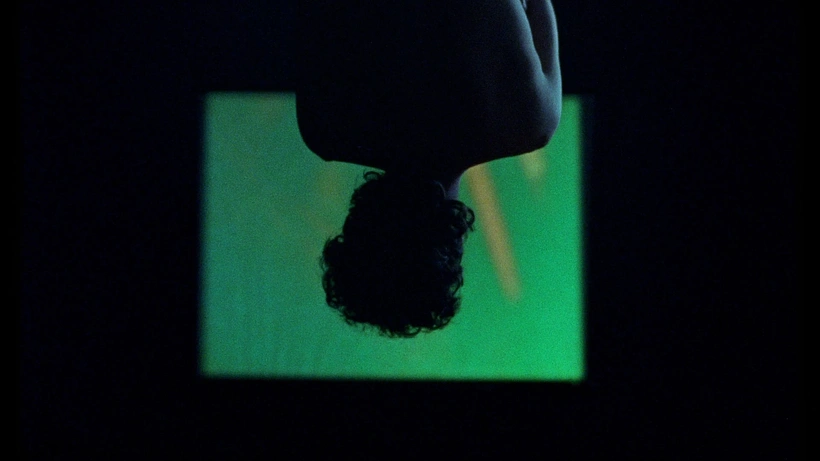 Imagen de Los Murciélagos han abandonado el Campanario