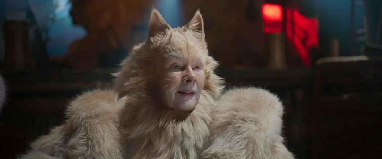 Imagen de cats