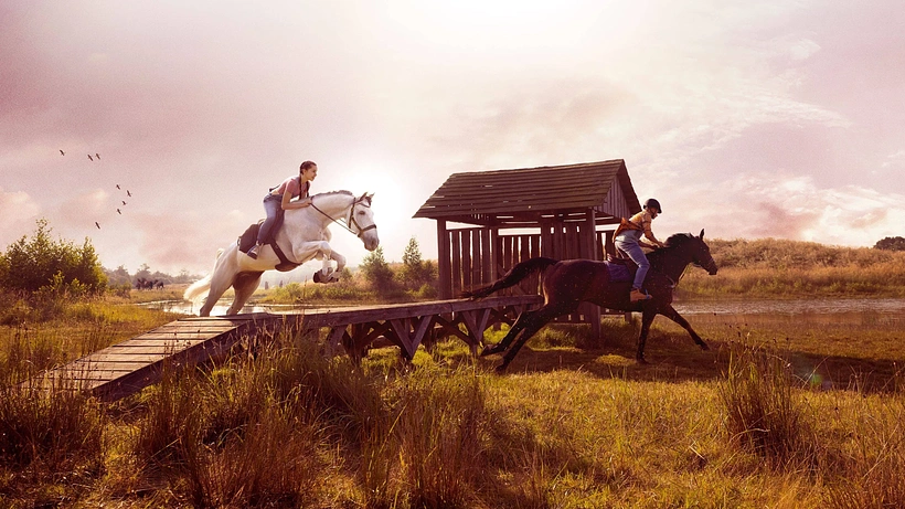 Imagen de Silverstar