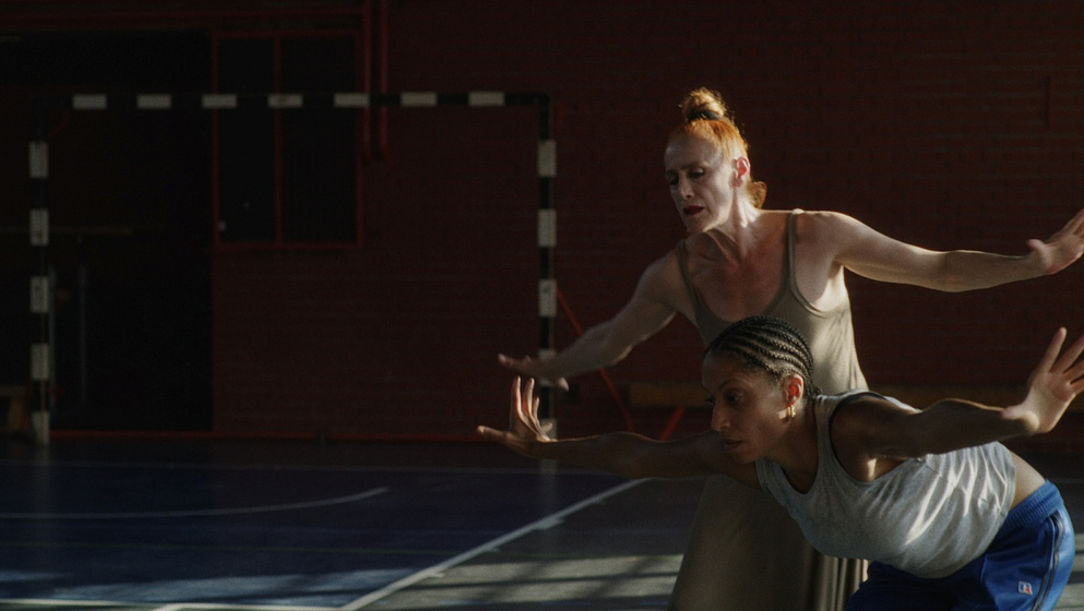 Imagen de body-in-plural