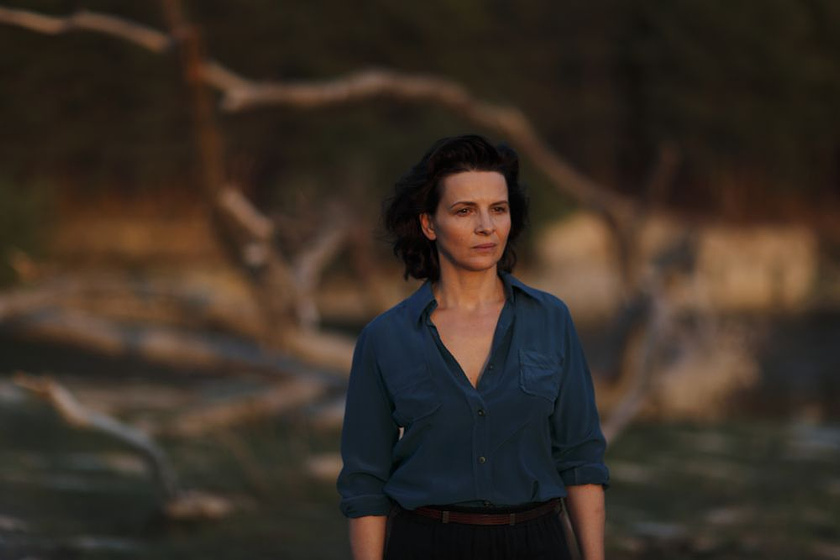 Juliette Binoche en La Espera