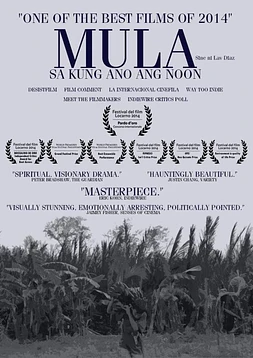 poster of movie From What Is Before