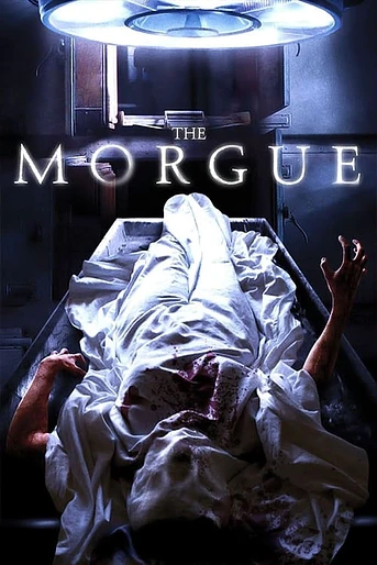 Poster de The morgue