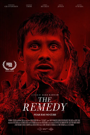Poster de The Remedy