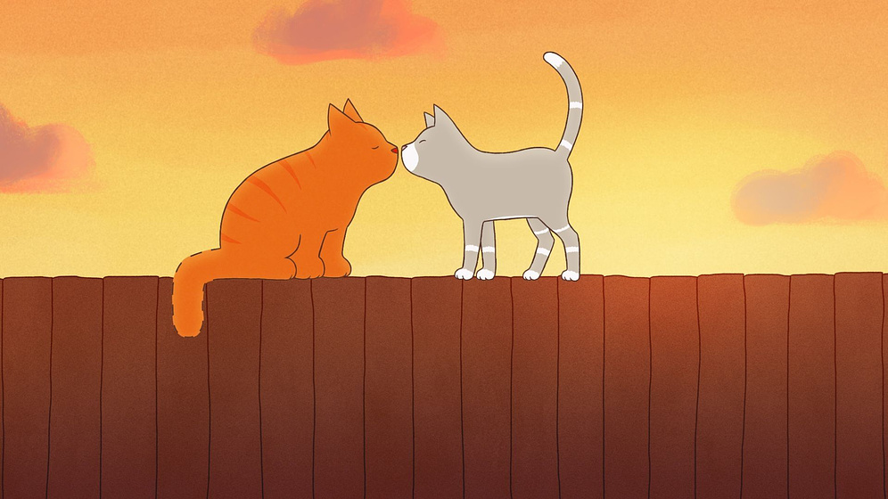 Imagen de Tummy Tom and the Lost Teddybear