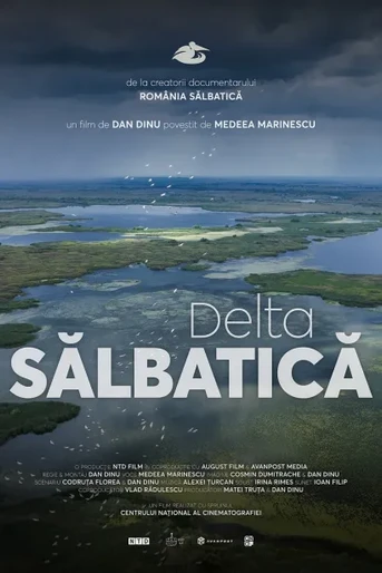 Poster de Wild Delta