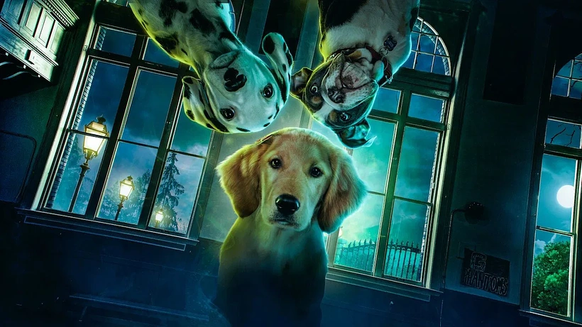 Imagen de Cachorros Fantasmas