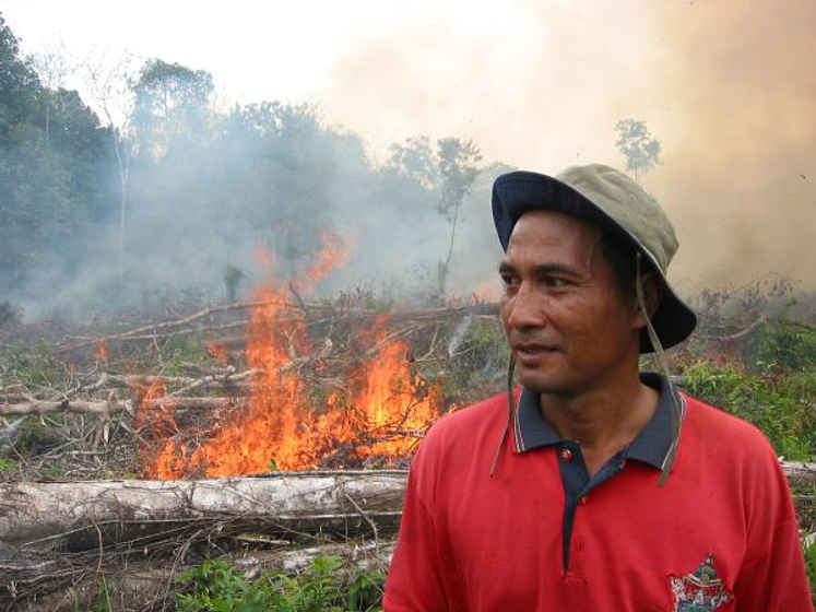Imagen de The Burning season
