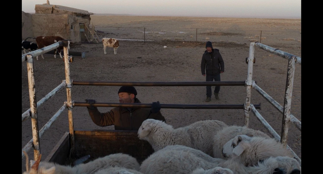 Saina en to-kill-a-mongolian-horse