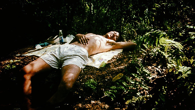Imagen de Blissfully Yours
