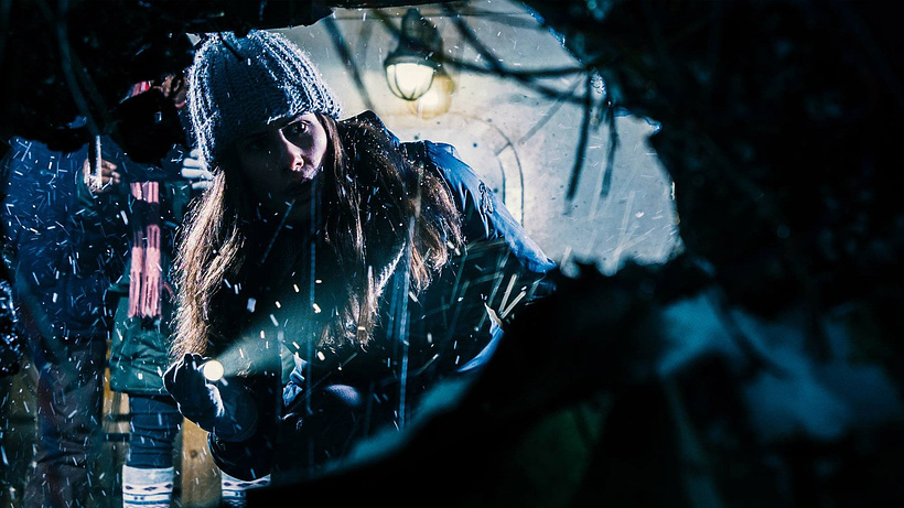 Imagen de Harbinger Down