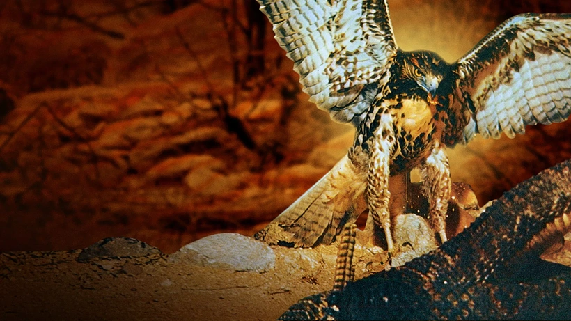 Imagen de El Desierto Viviente