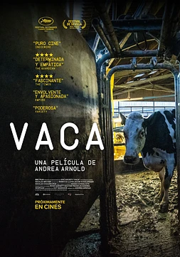 poster of movie Vaca