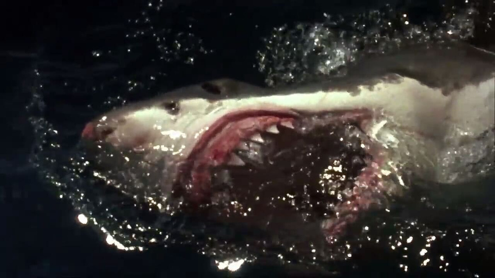 Imagen de Terror en el Mar