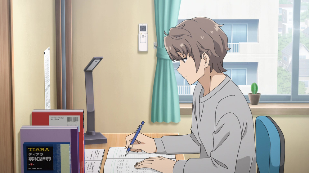 Imagen de rascal-does-not-dream-of-a-knapsack-kid