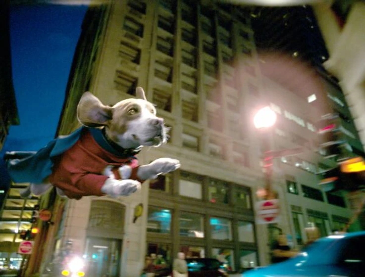 Imagen de superdog