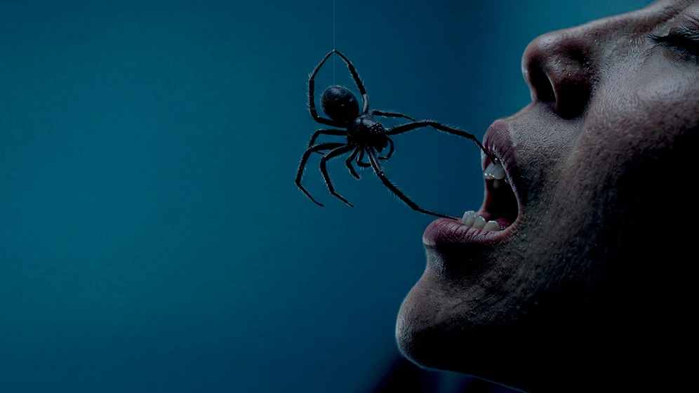 Imagen de crawlers