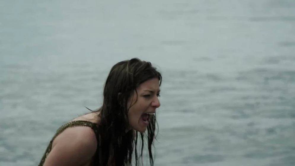 Imagen de shark-week