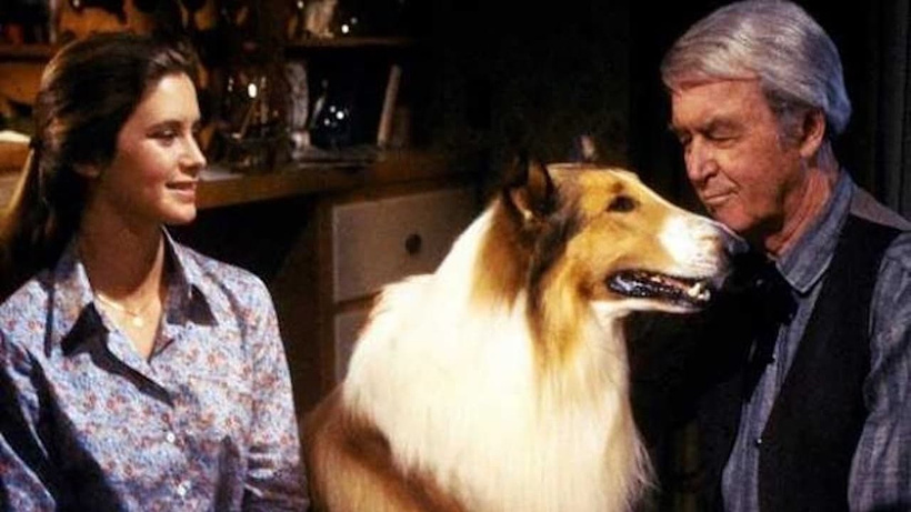 Imagen de La Magia de Lassie