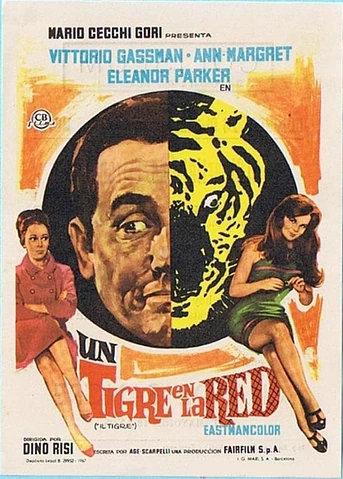 Poster de Un Tigre en la Red