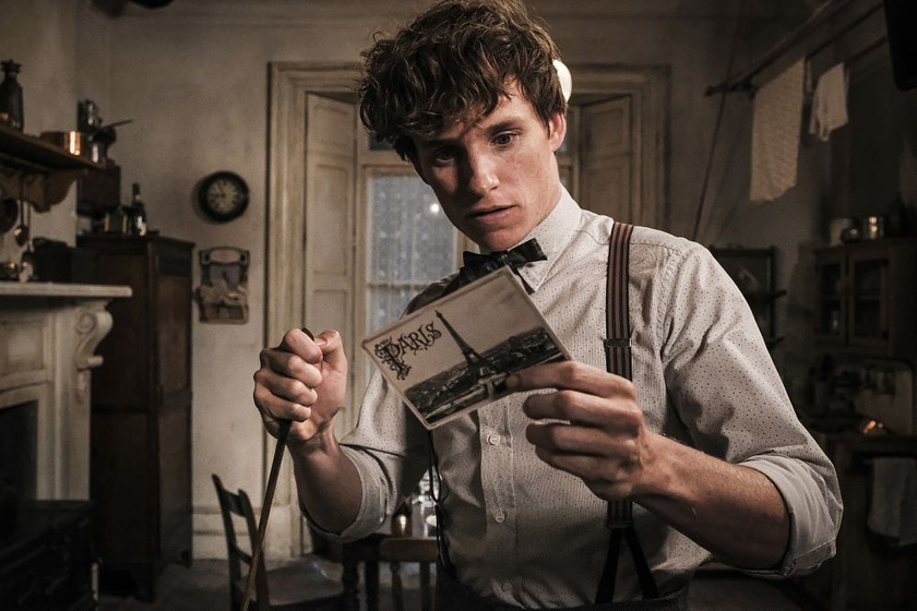 Eddie Redmayne en Animales fantásticos: Los Crímenes de Grindelwald