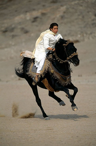Biana Tamimi en Shetan, El Caballo del Desierto