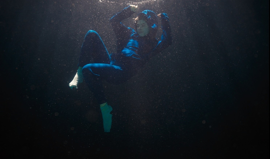 Imagen de if-pigeons-turned-to-gold