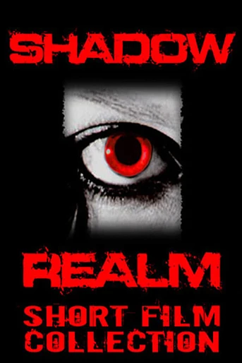Poster de Shadow Realm