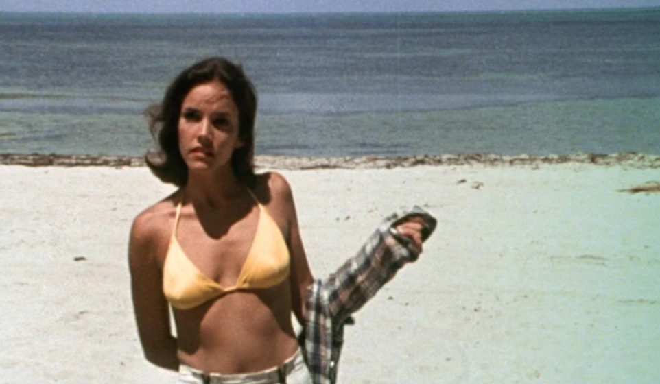 Brooke Adams en ondas-de-choque