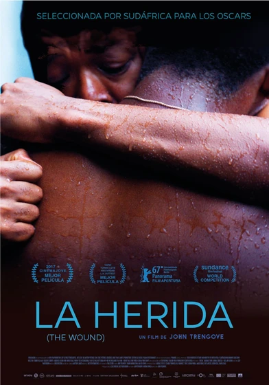 Imagen de la-herida-the-wound (Cartel español)