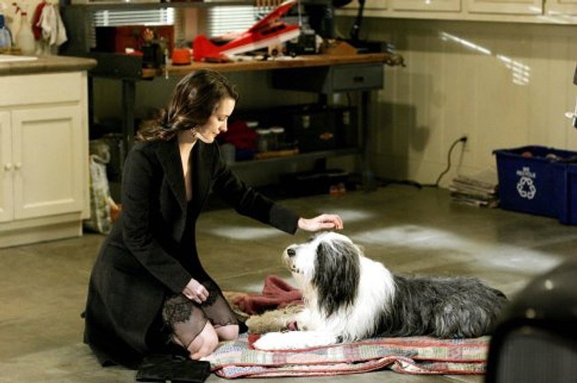 Kristin Davis en Cariño, estoy hecho un perro