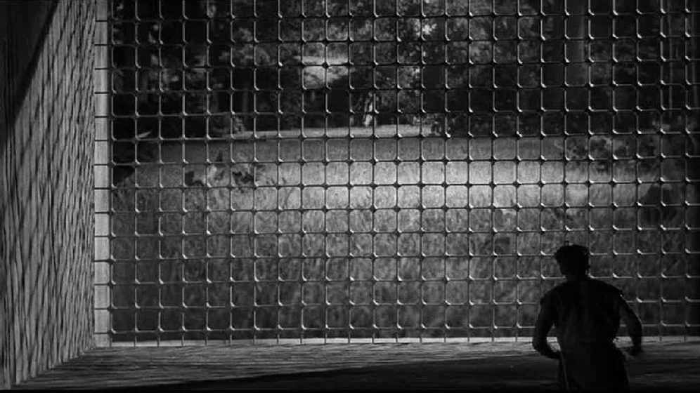 Grant Williams en el-increible-hombre-menguante