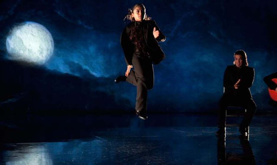 Imagen de Flamenco, flamenco