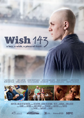 poster of content Wish 143