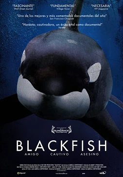 poster of movie Blackfish