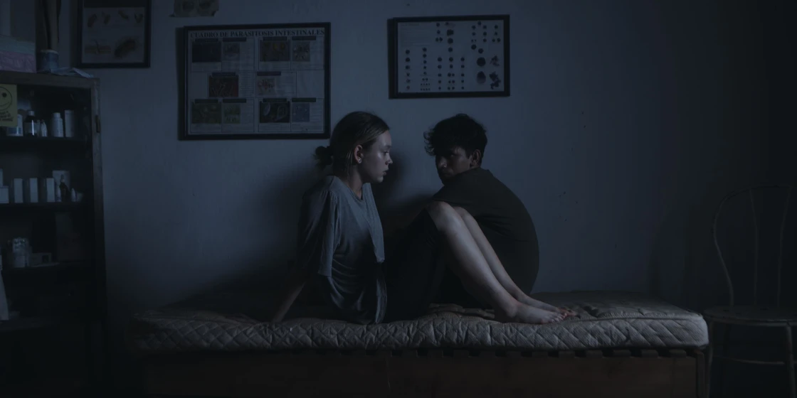 Imagen de kissing-bug