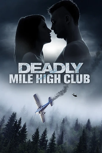 Poster de Miedo a Volar