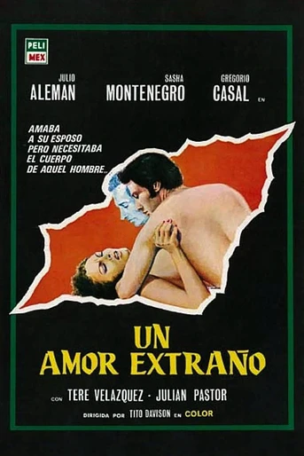 Poster de Un Amor Extraño
