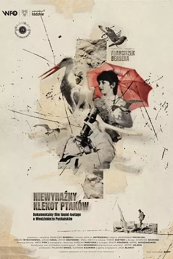 Poster de The Faint Clatter of birds