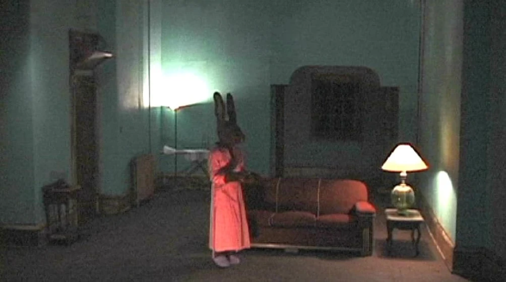 Imagen de conejos-rabbits