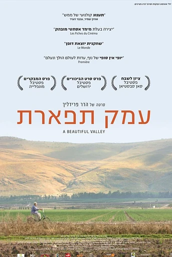 Poster de A beautiful valley