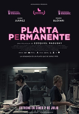 poster of movie Planta Permanente