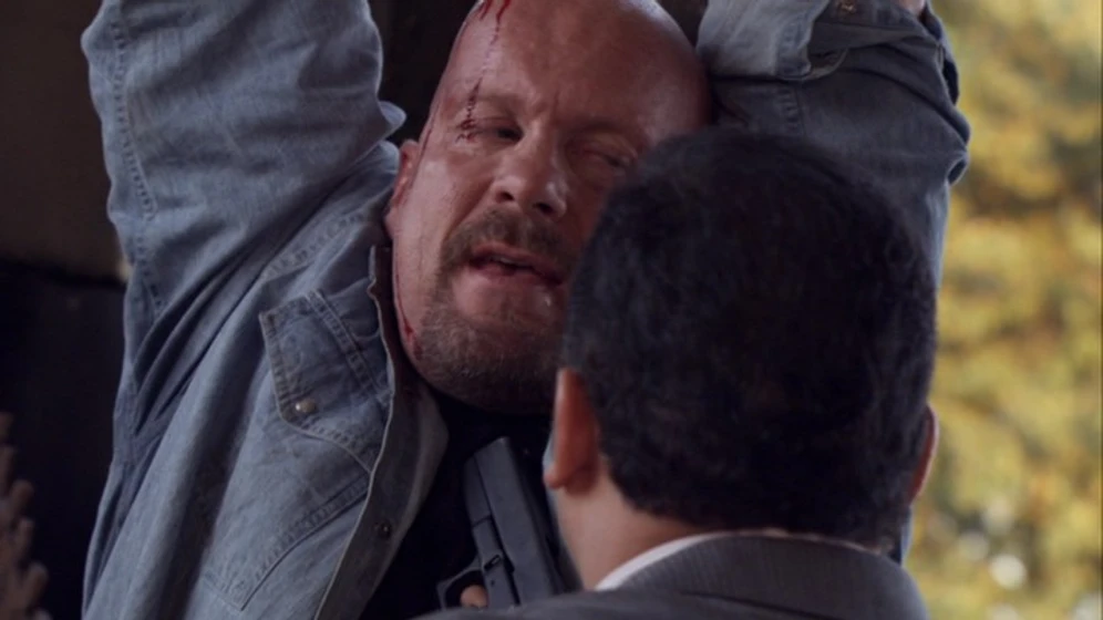Steve Austin en The Stranger