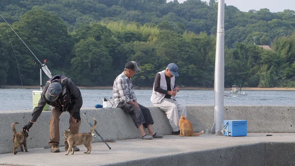 Imagen de The Cats of Gokogu Shrine