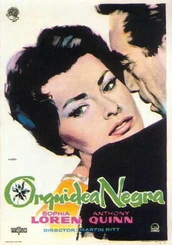 Poster de Orquídea negra