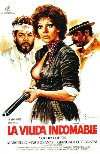 Poster de La viuda indomable