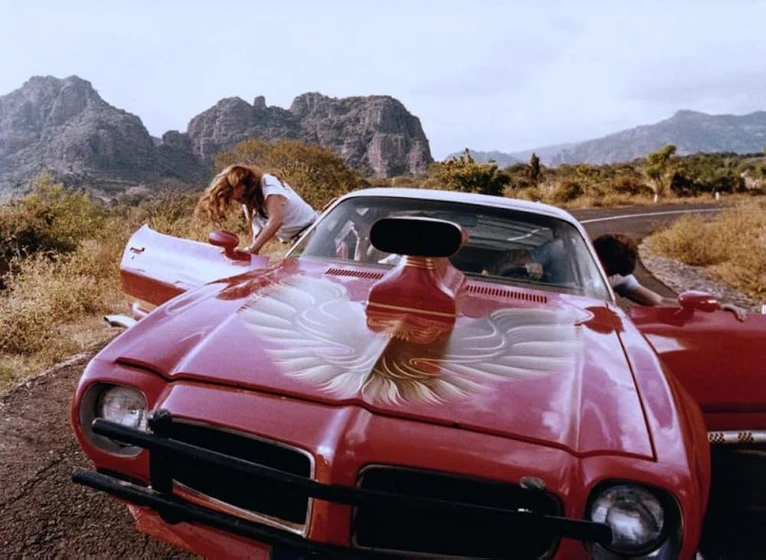 Imagen de carrera-salvaje